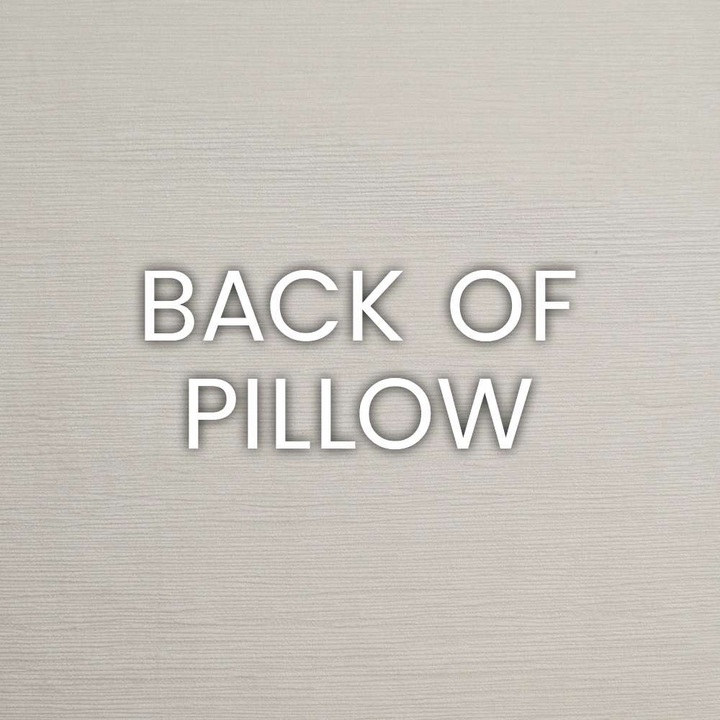 Hero-Dijon 2-Pack Throw Pillows with Feather Inserts – Durable Polyester Fabric