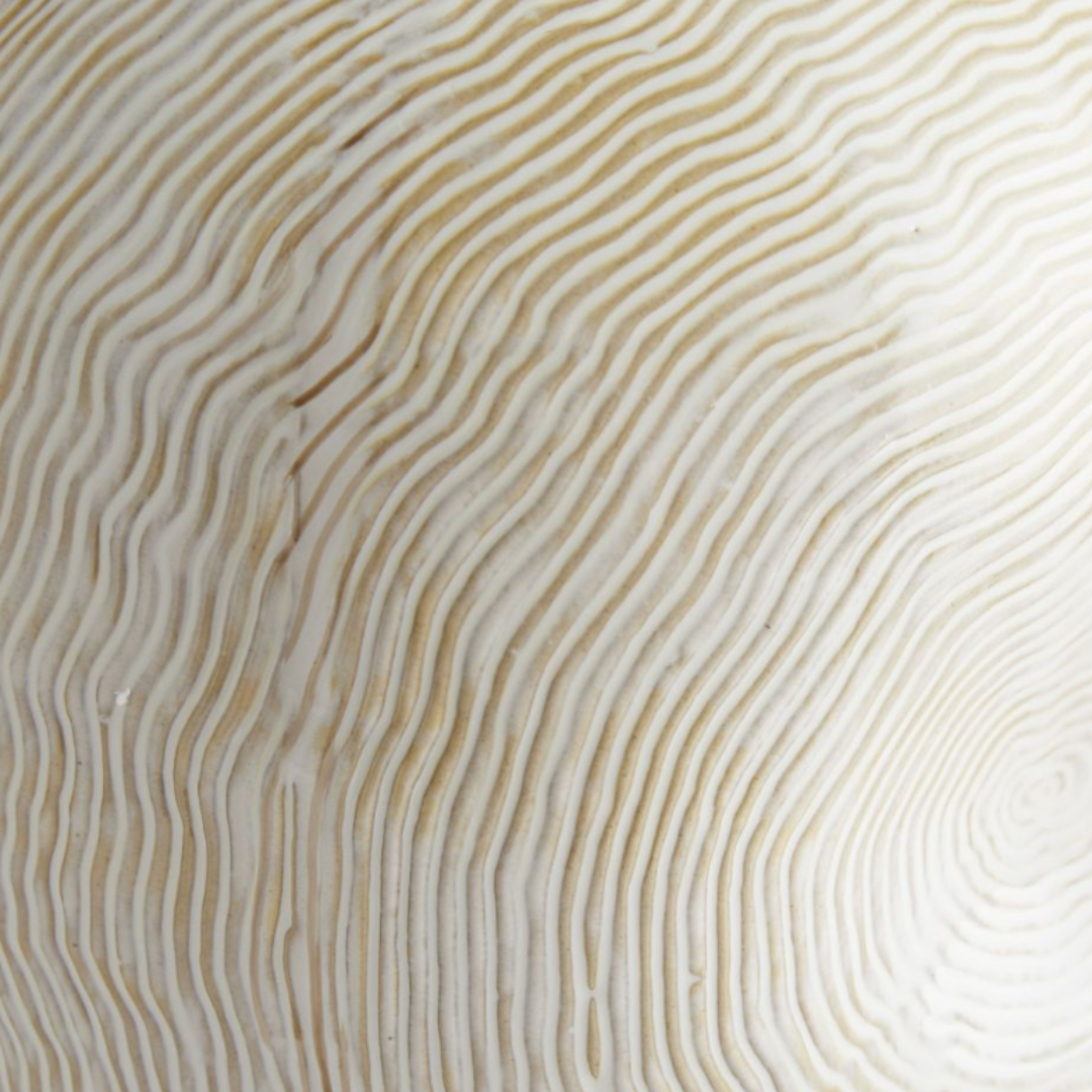 Blume 3-Piece Ceramic Vase Set – Organic Whitewash Design for Modern Interiors