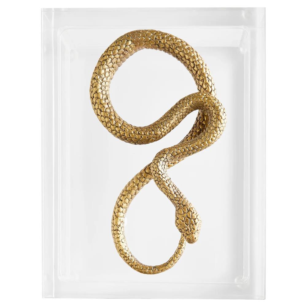 A brown snake