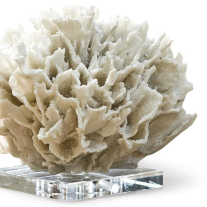 A resin replica of ribbon coral placed on crystal or acrylic base