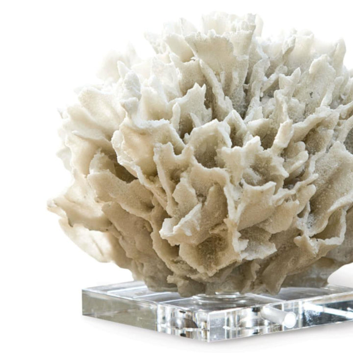 A very closed image of A resin replica of ribbon coral placed on crystal or acrylic base
