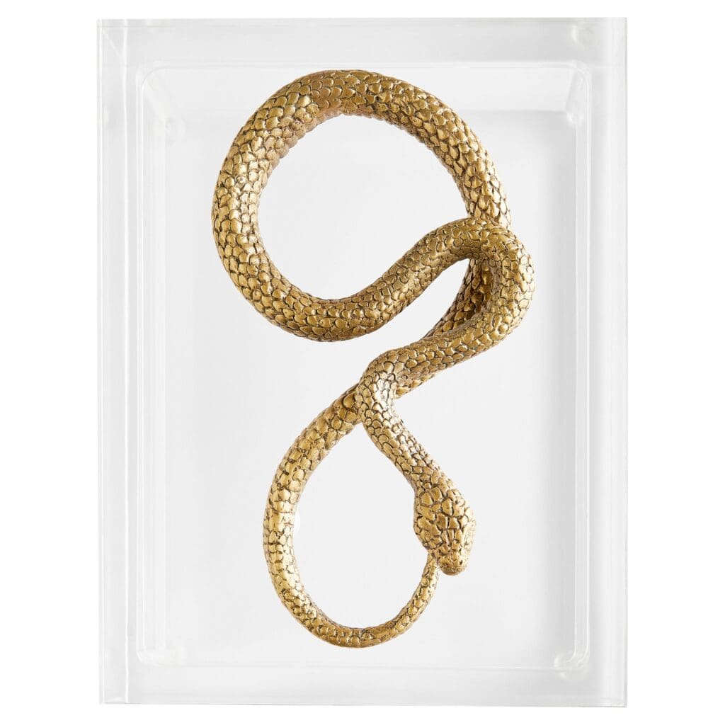 Snake Box Designed by Thom Filicia | Clear | Brass