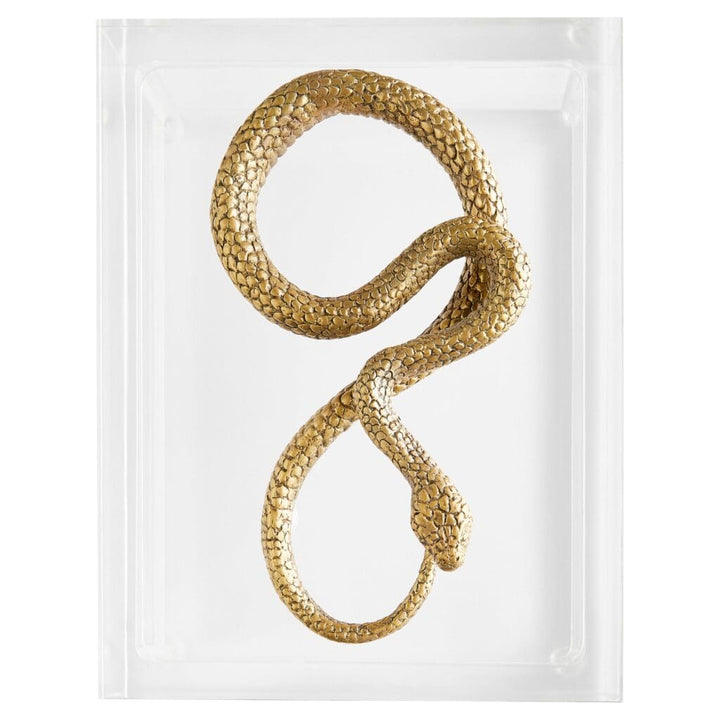 Snake Box Designed by Thom Filicia | Clear | Brass