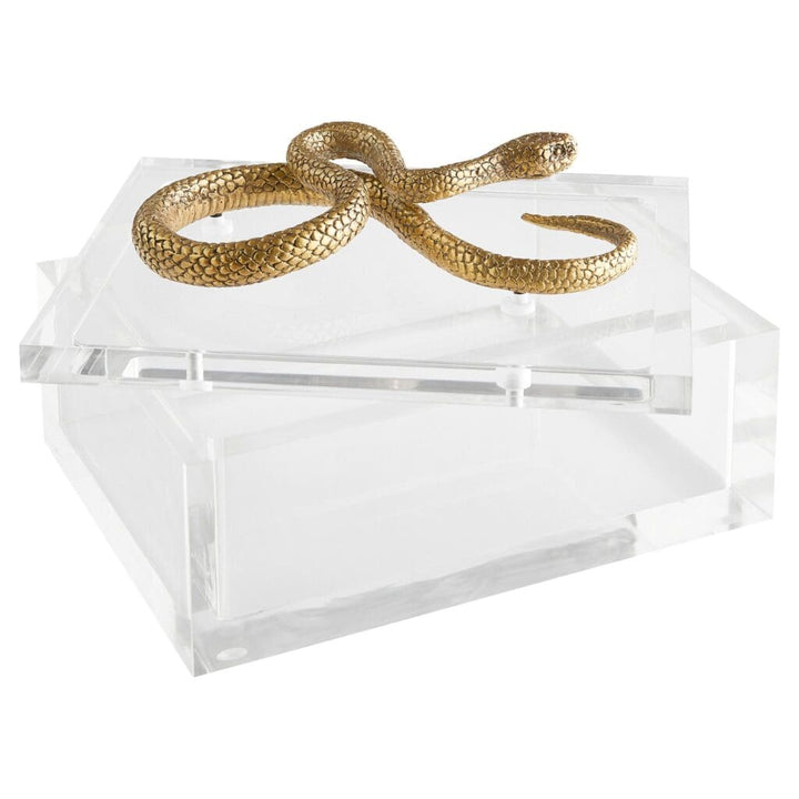 Snake Box Designed by Thom Filicia | Clear | Brass