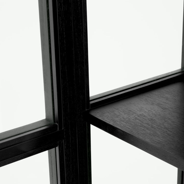 Close-up of a cabinet with black frame and glass panels
