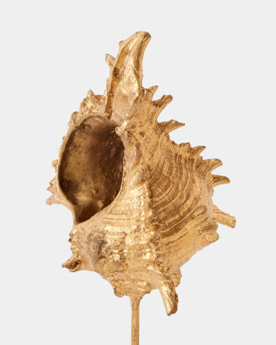 Miter shell sculpture styled on a console