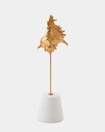 Profile view of the miter shell sculpture