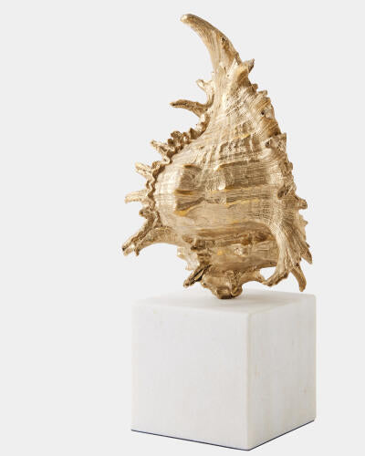 White marble cube base detail of the spider conch sculpture
