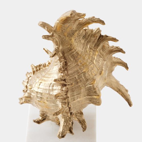 Three-quarter view of the brass spider conch sculpture