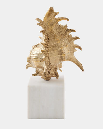 Profile view of the brass spider conch sculpture