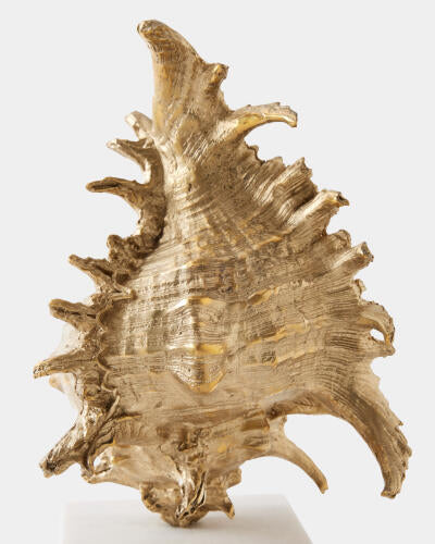 Close-up of the brass spines and whorls on the spider conch