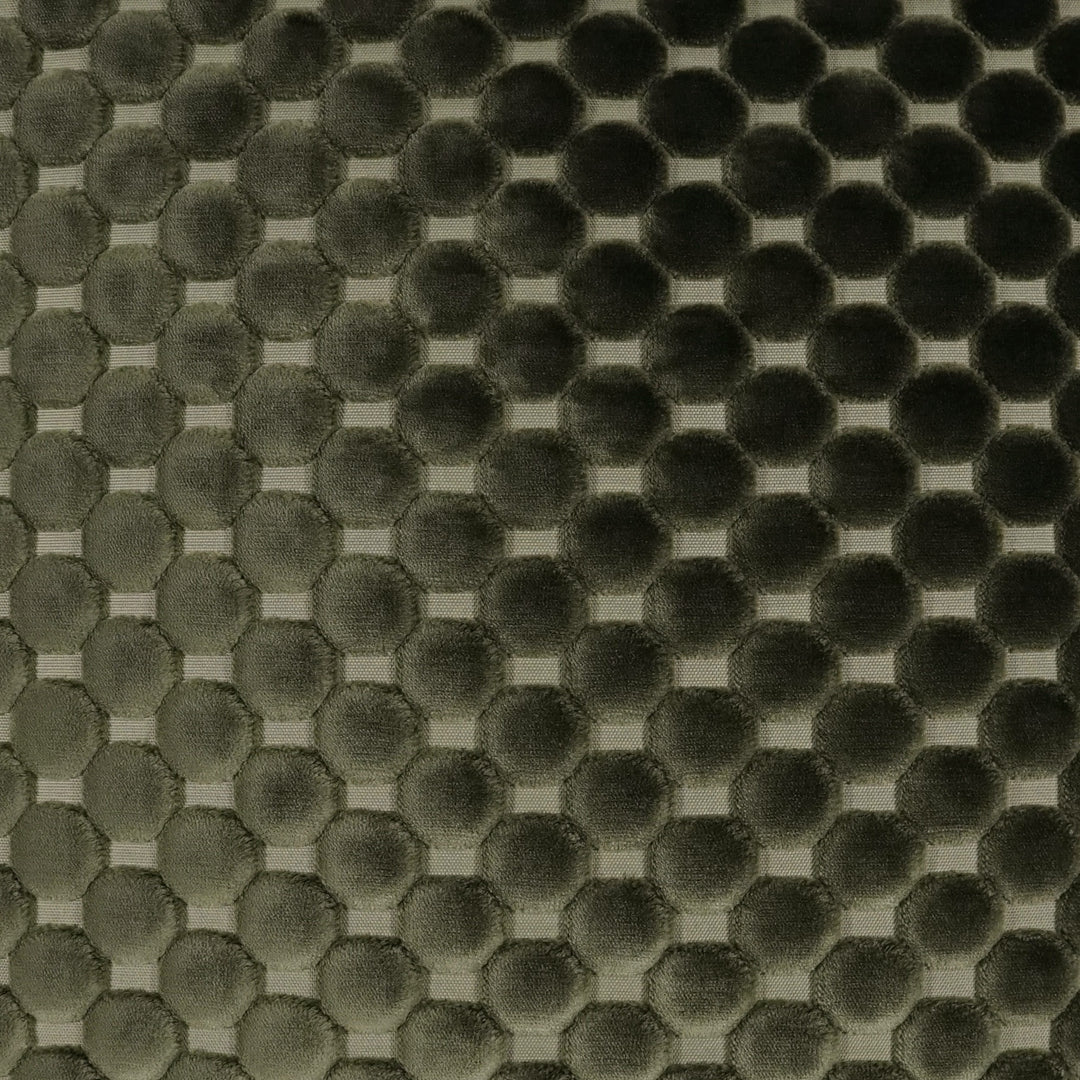 Dance Cactus 2-Pack Decorative Pillows