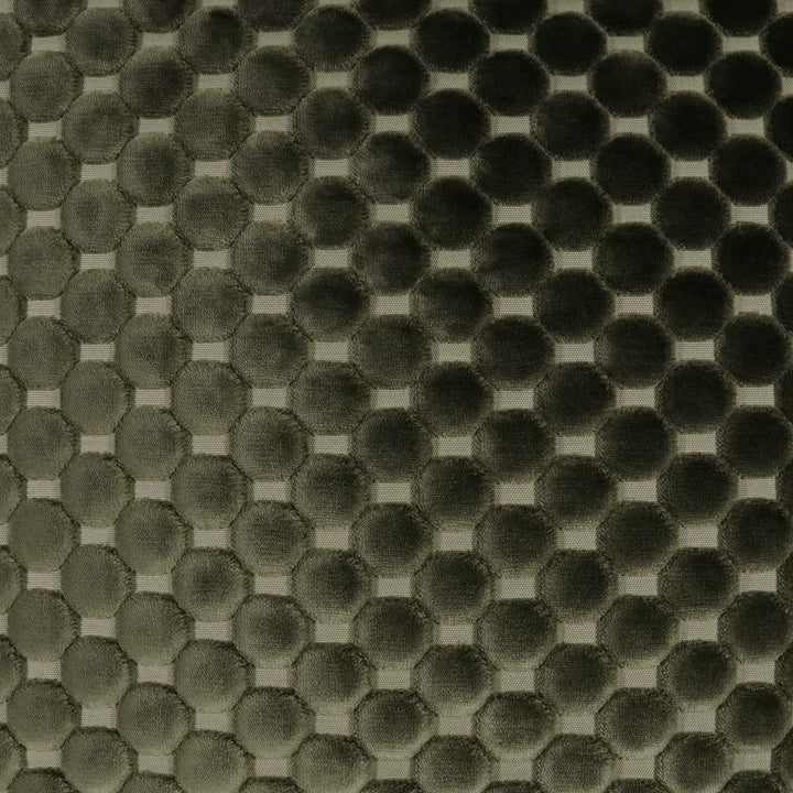 Dance Cactus 2-Pack Decorative Pillows