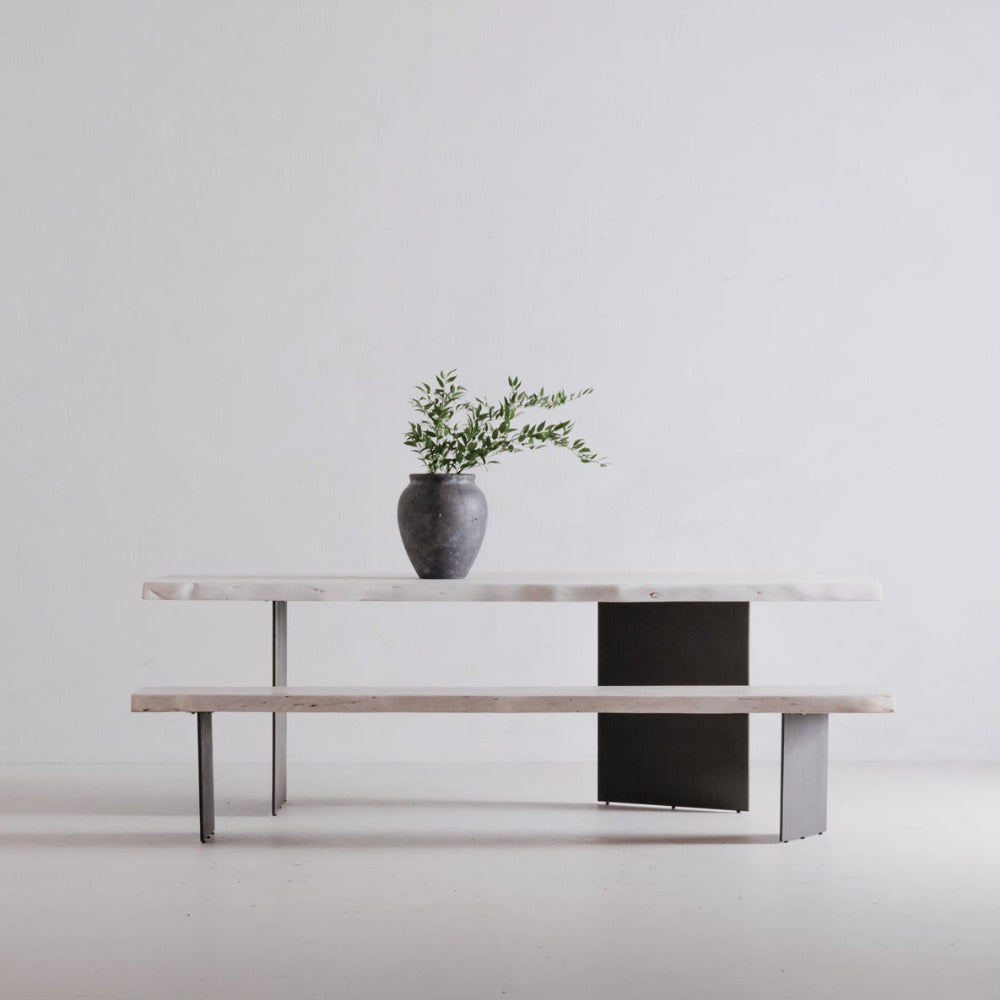 Modern table with a vase and plant against a white wall