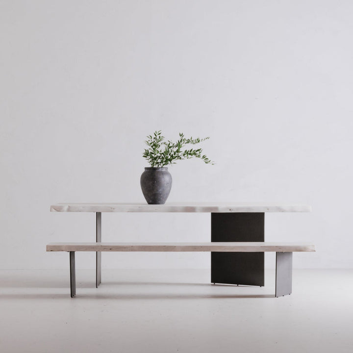 Modern table with a vase and plant against a white wall
