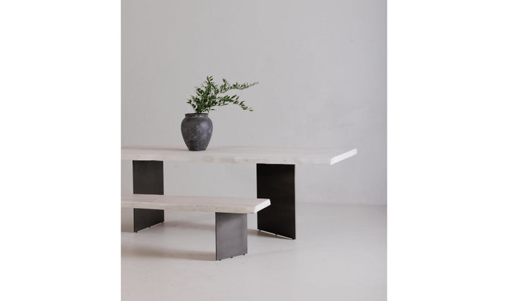 Modern table with a vase and plant on a white background