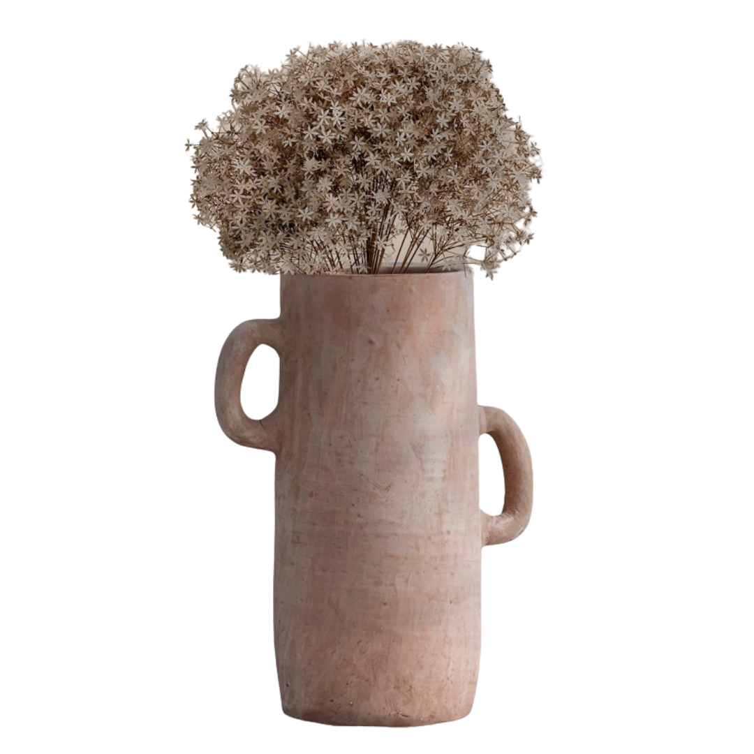 Terracotta vase with dried flowers on a white background