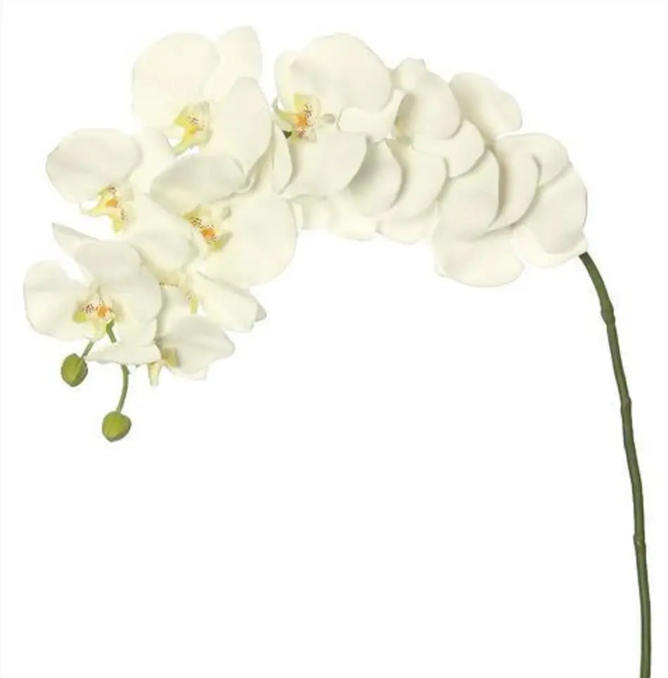 White flowers