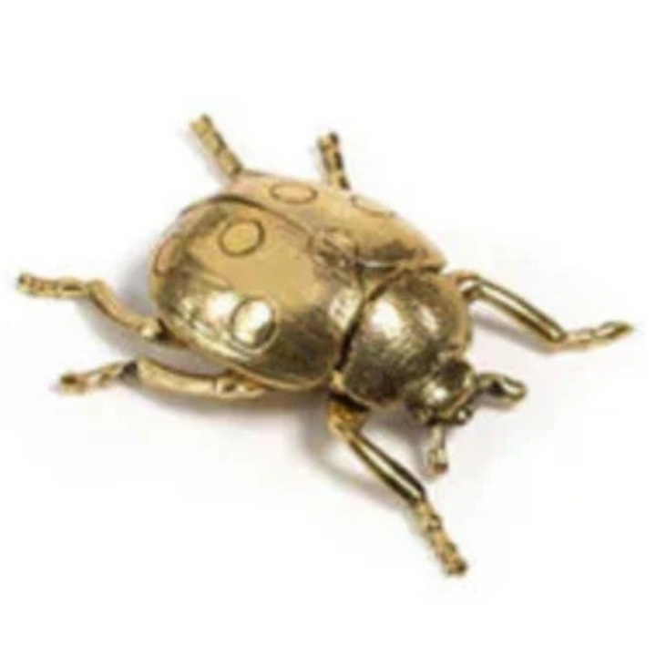 Golden Ladybird
