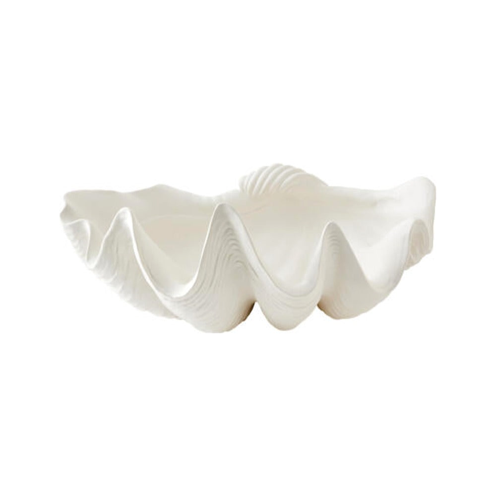 White ceramic Gigas clam shell bowl on white background