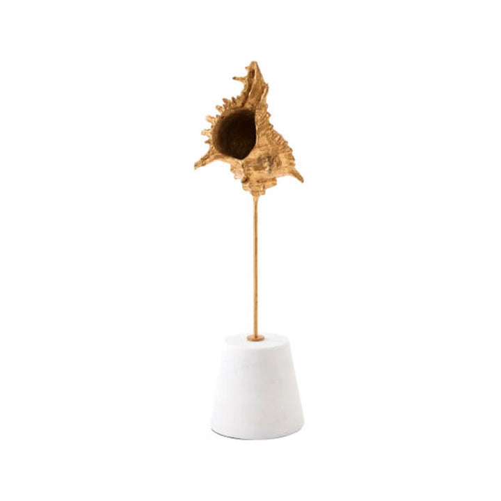 Gold leaf miter shell sculpture on white marble cone base, white background