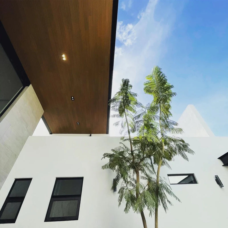 Modern white stucco home exterior with a wood-clad entry soffit and mature palms