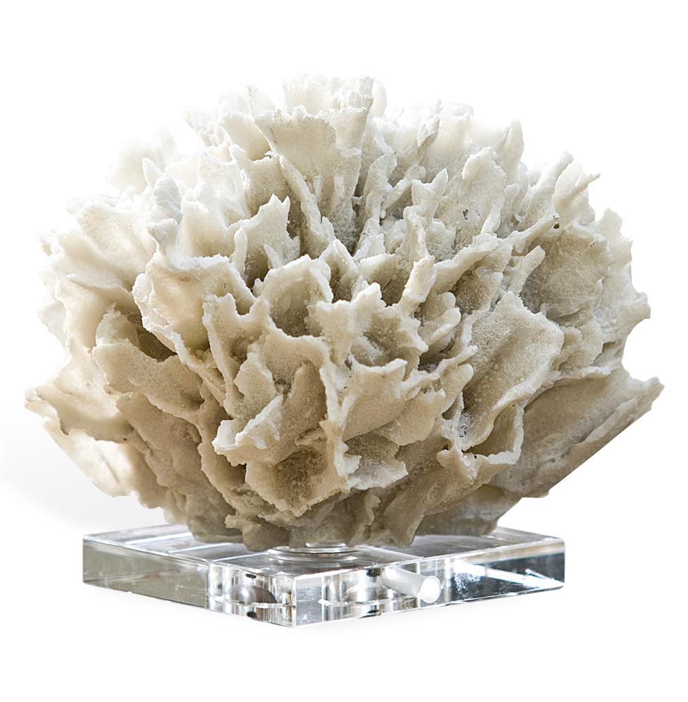 A resin replica of ribbon coral placed on crystal or acrylic base
