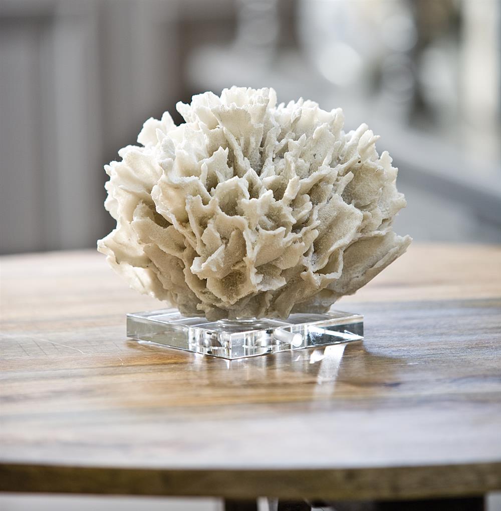 A resin replica of ribbon coral placed on crystal or acrylic base