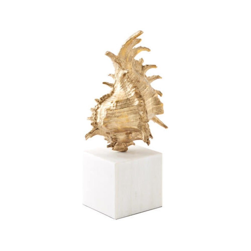 Brass spider conch shell sculpture on white marble cube base, white background