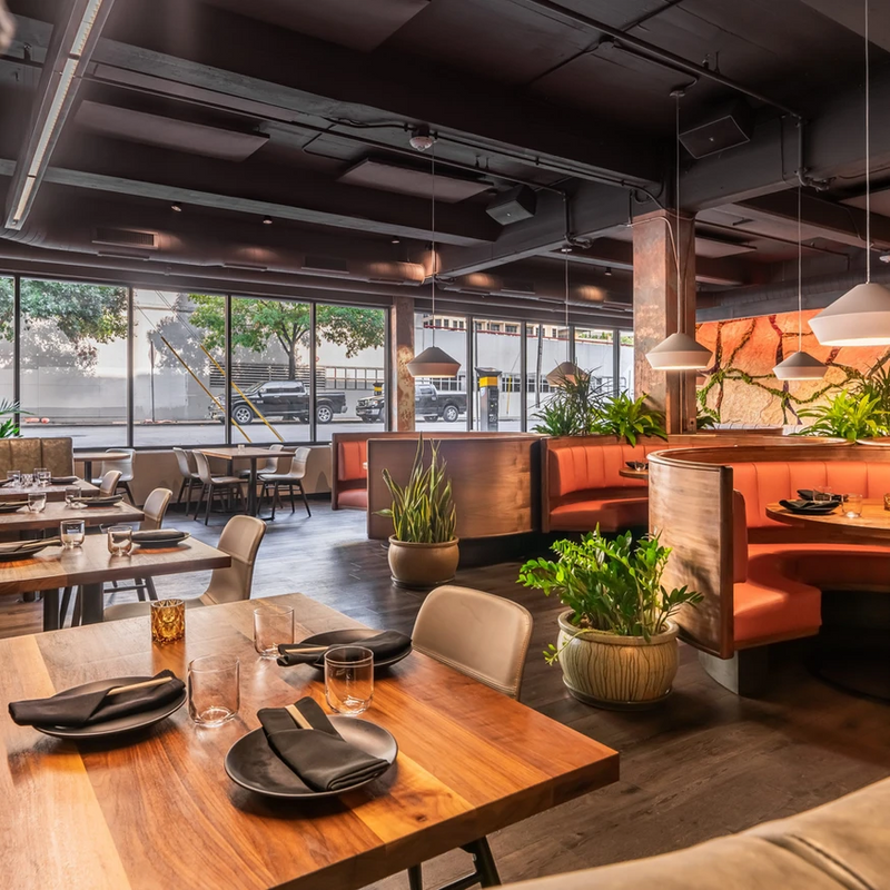 Restaurant dining room with terracotta leather booths, layered greenery and floor-to-ceiling glass
