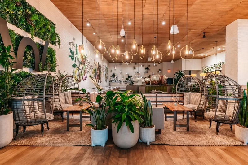 Restaurant with rattan hanging chairs, Edison pendants and a living greenery wall